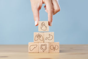 Hand arranging internal organ wooden blocks